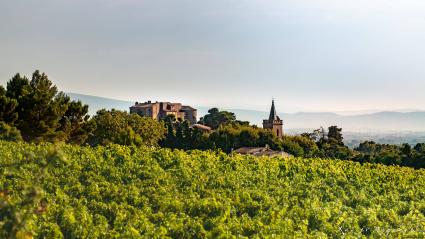 Paysage du Haut-Languedoc