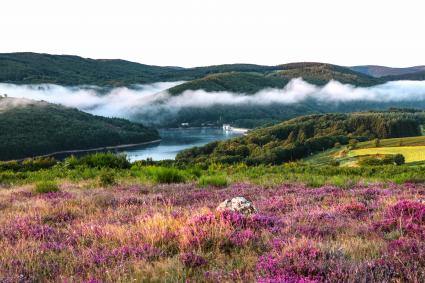 Paysage des Monts de Lacaune