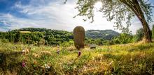 statues menhirs 